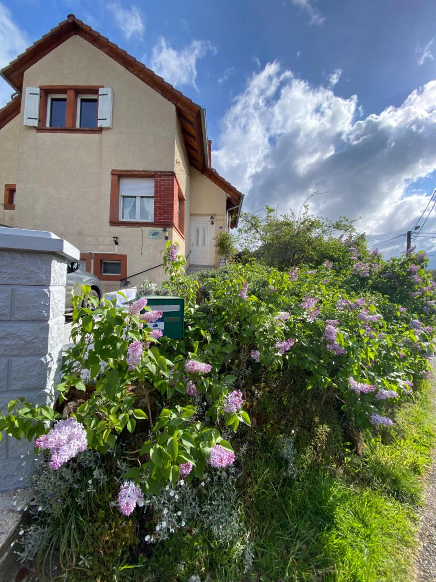 Le Refuge De L'Ours Baerenthal Exterior foto