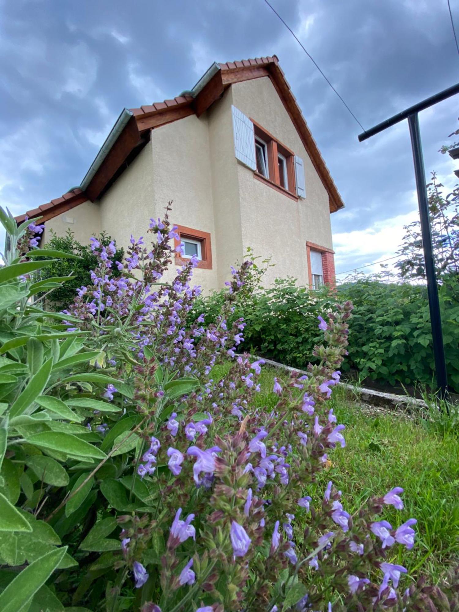 Le Refuge De L'Ours Baerenthal Exterior foto