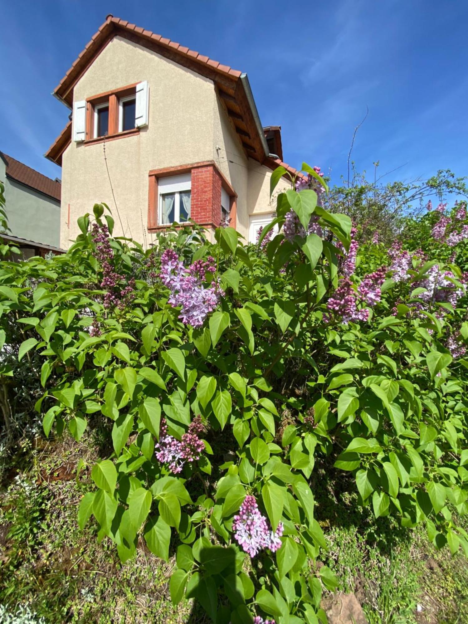 Le Refuge De L'Ours Baerenthal Exterior foto