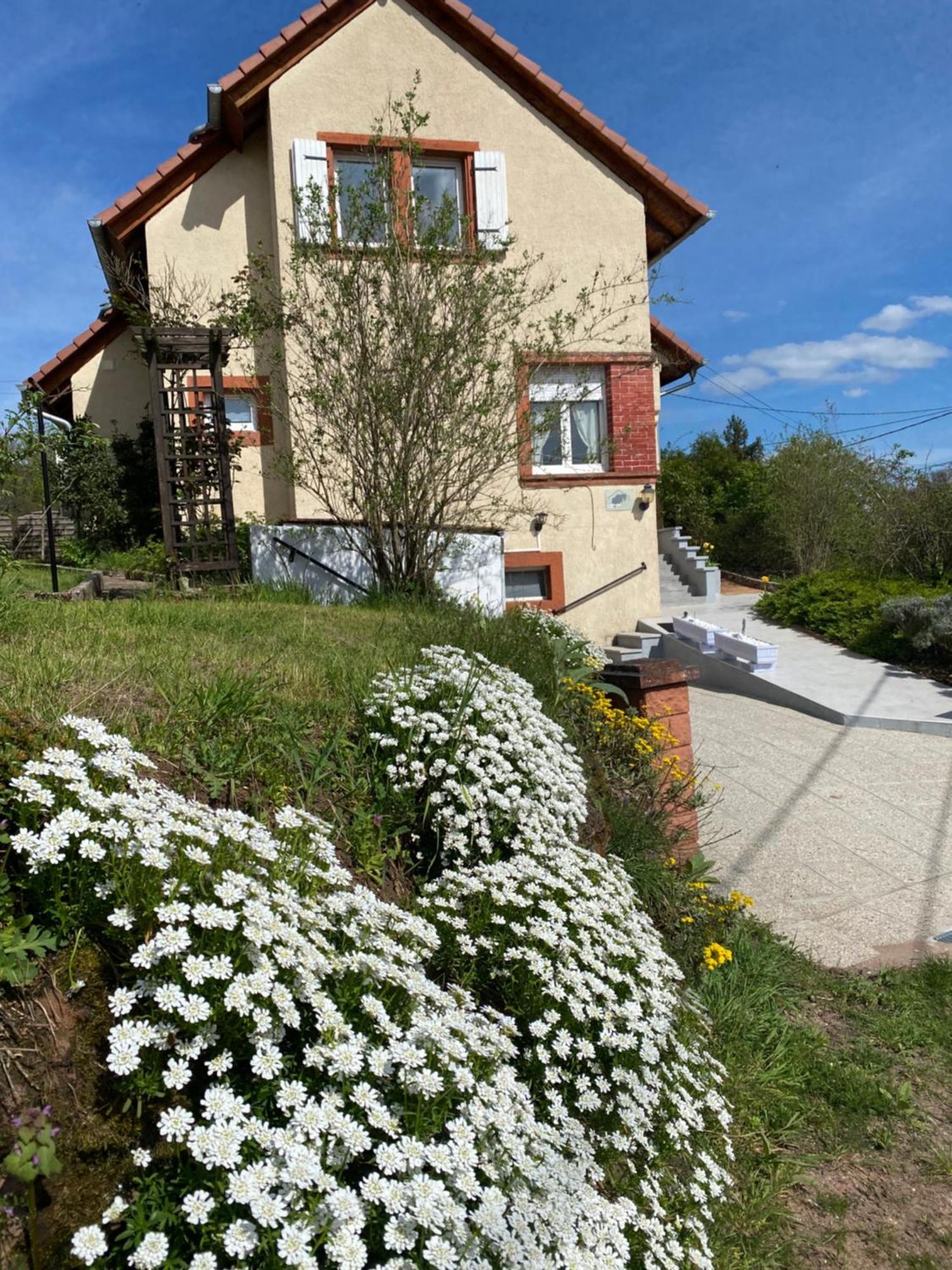 Le Refuge De L'Ours Baerenthal Exterior foto